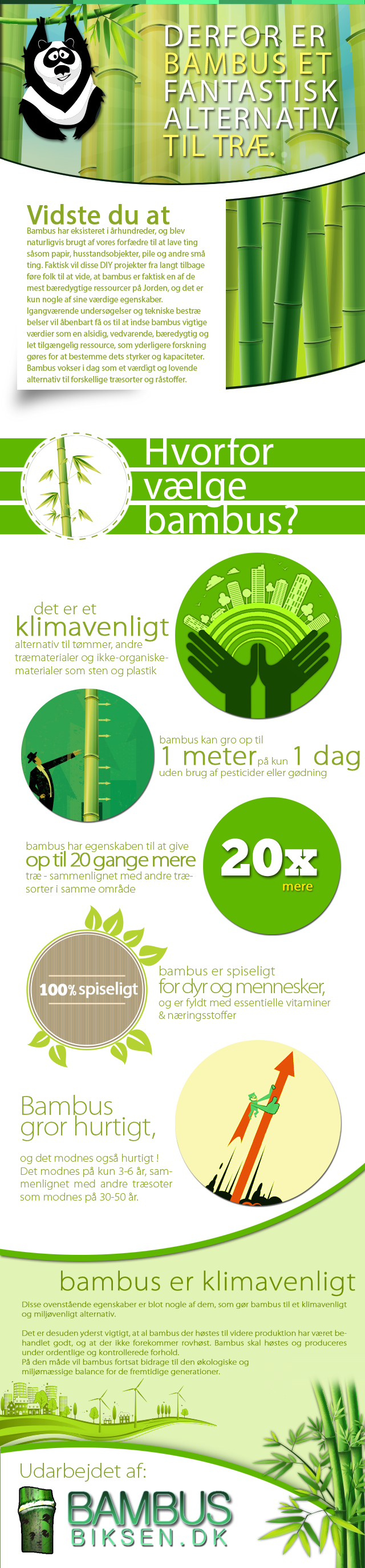 Infografik om Bambus